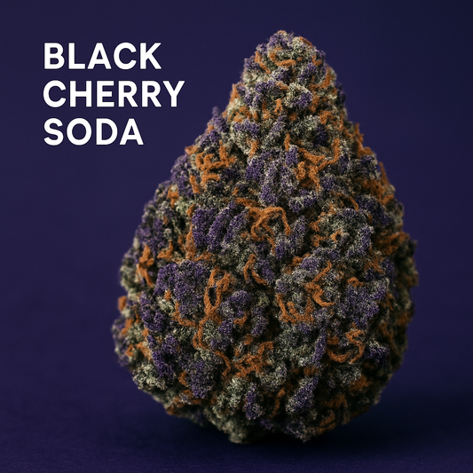 Black Cherry Soda (Hybrid)