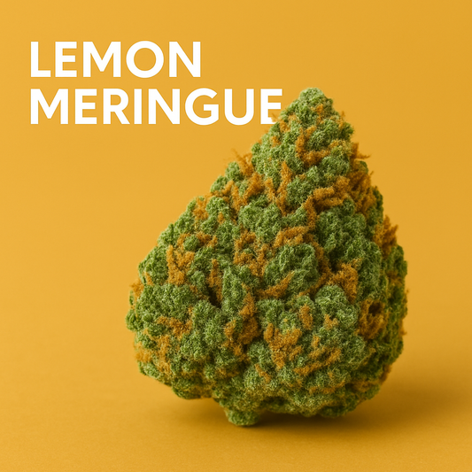 Lemon Meringue (Sativa)